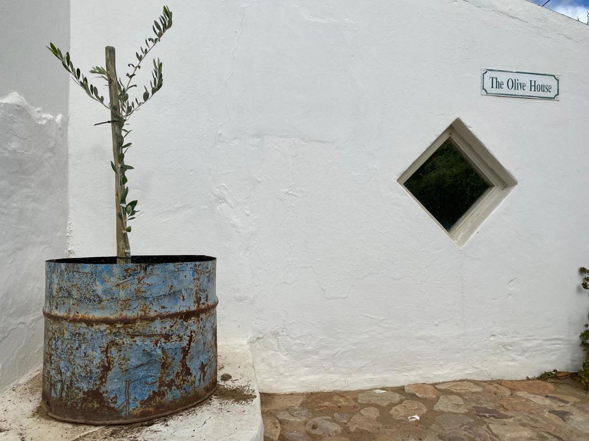 The Olive House, Prince Albert Esterno foto