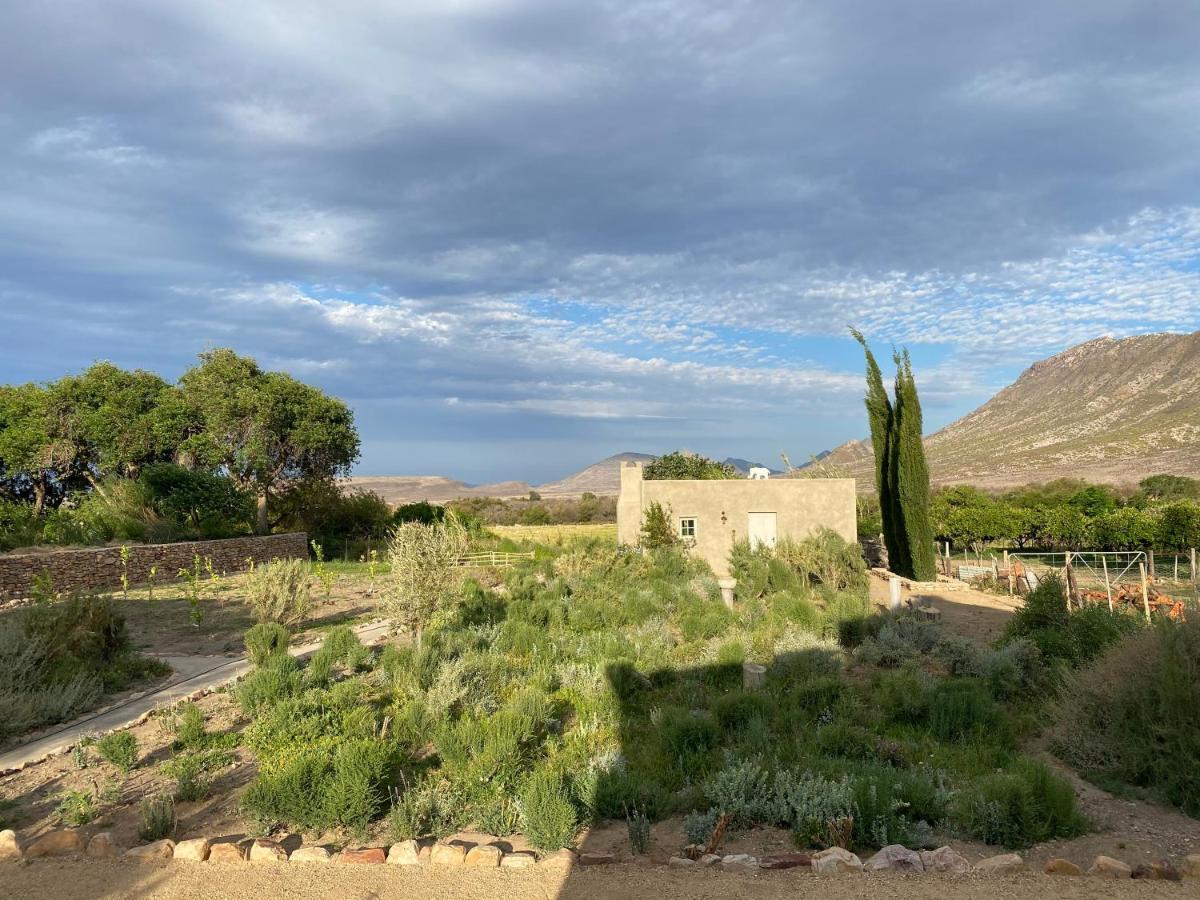 The Olive House, Prince Albert Esterno foto