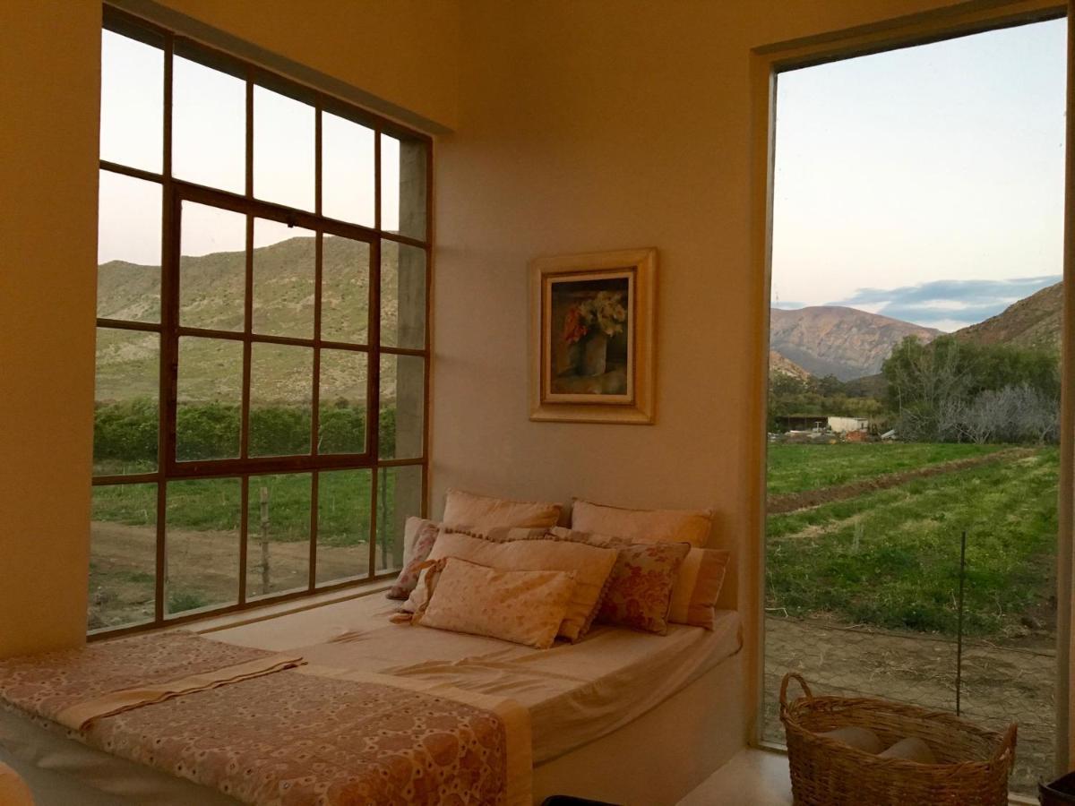 The Olive House, Prince Albert Esterno foto