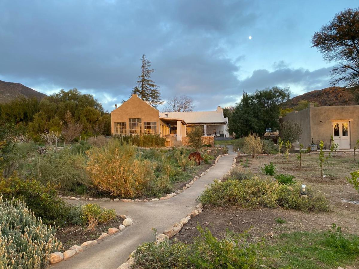 The Olive House, Prince Albert Esterno foto
