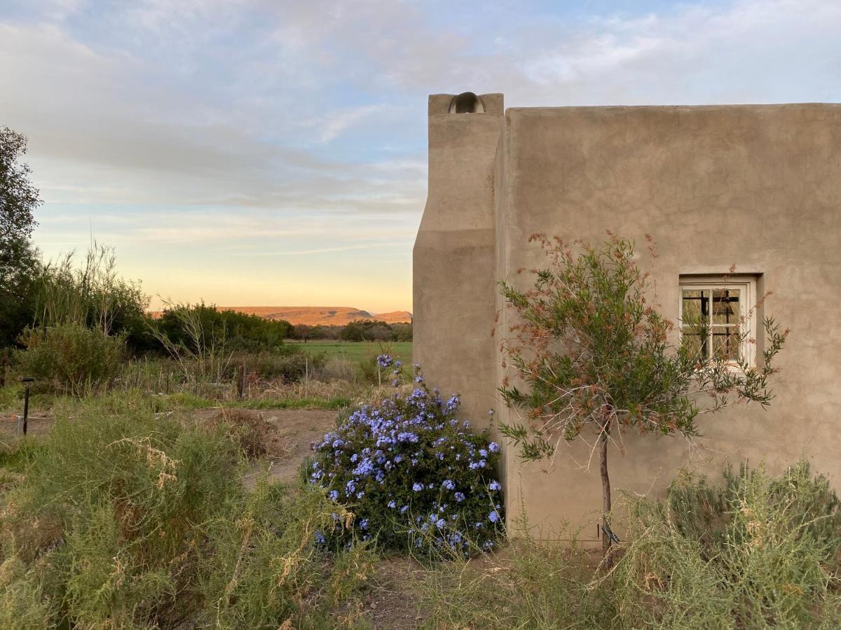 The Olive House, Prince Albert Esterno foto