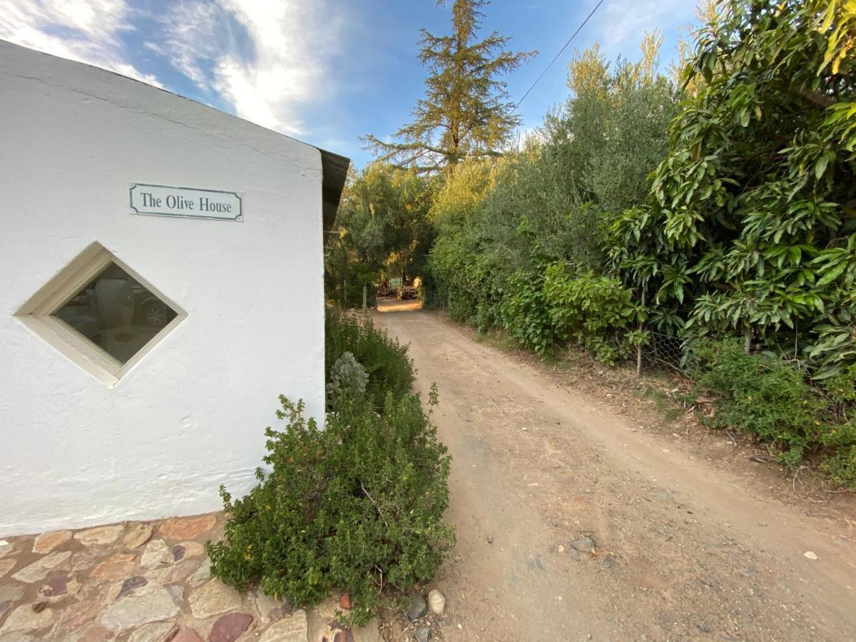 The Olive House, Prince Albert Esterno foto