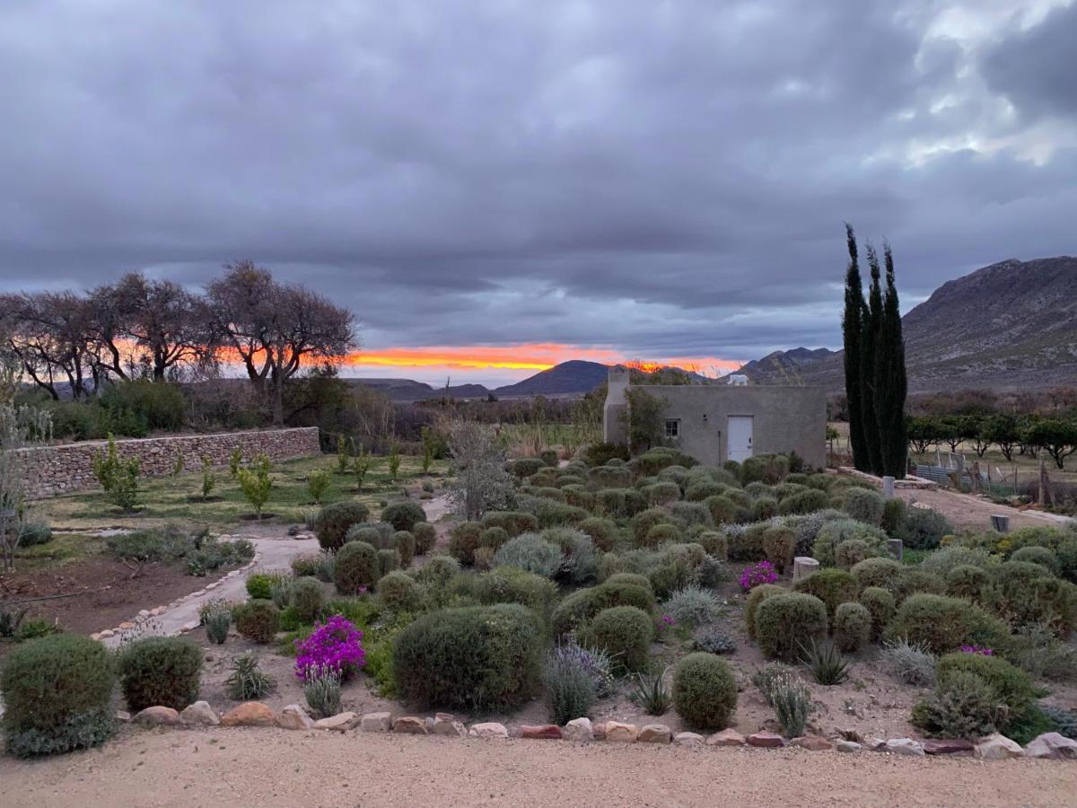 The Olive House, Prince Albert Esterno foto