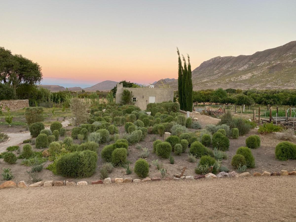 The Olive House, Prince Albert Esterno foto