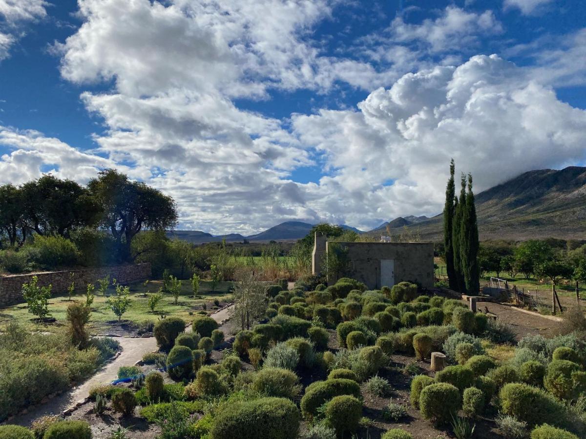 The Olive House, Prince Albert Esterno foto