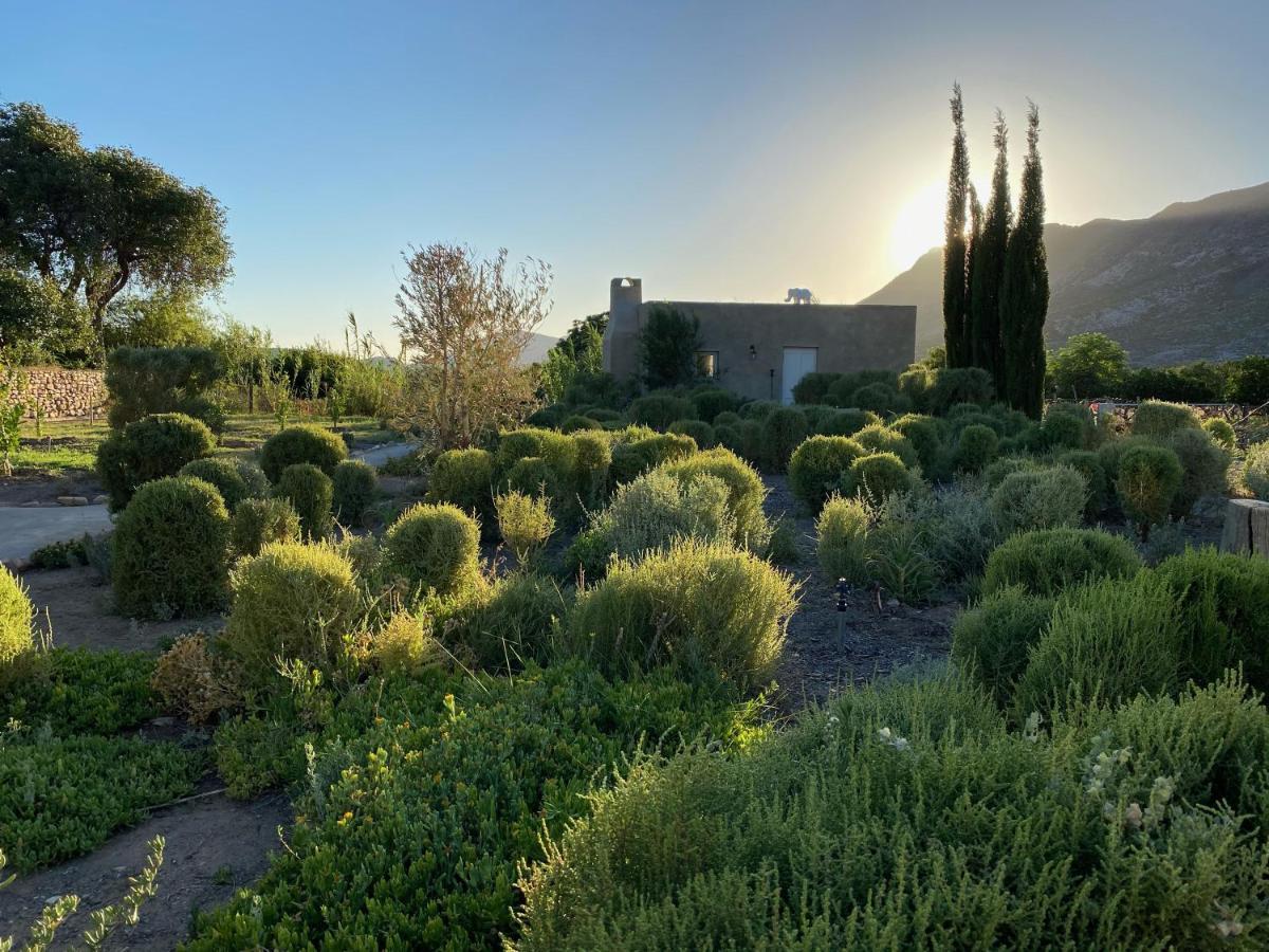 The Olive House, Prince Albert Esterno foto