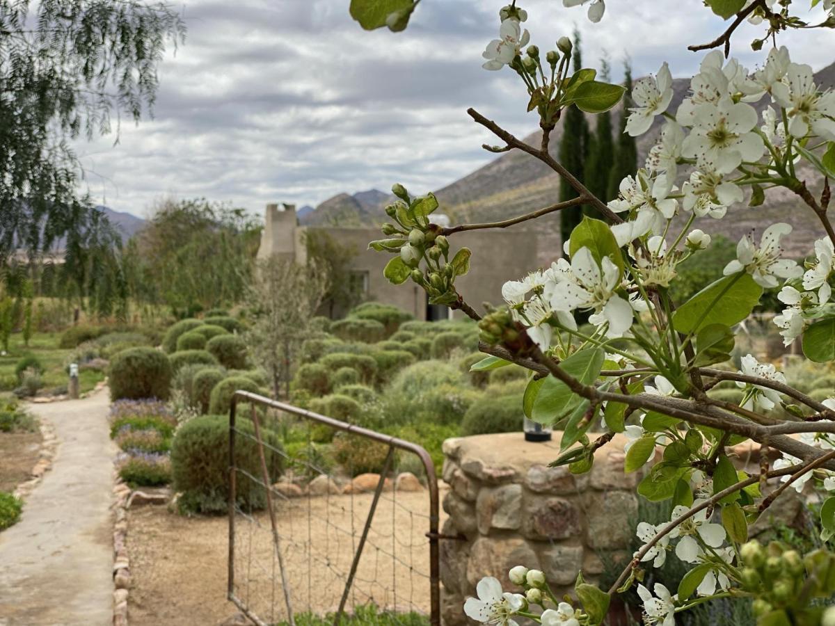 The Olive House, Prince Albert Esterno foto