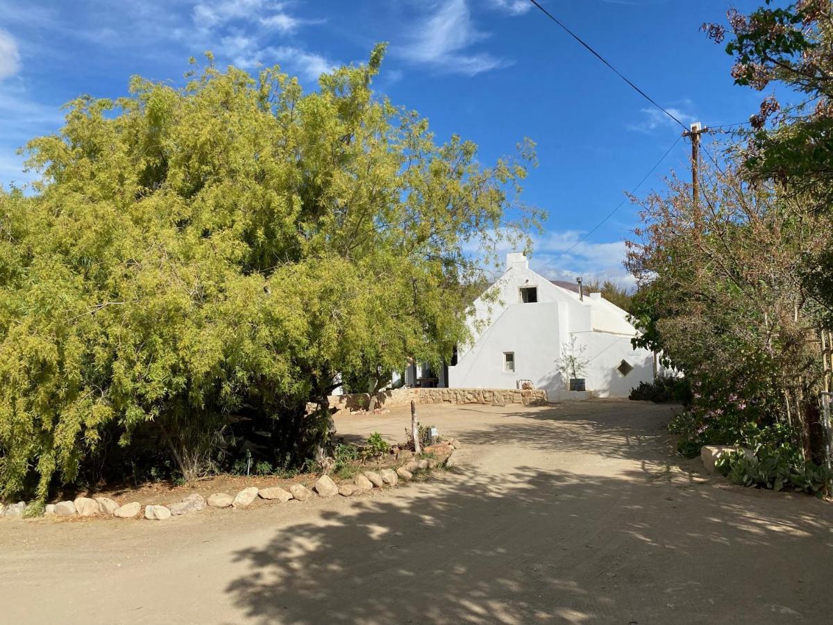 The Olive House, Prince Albert Esterno foto