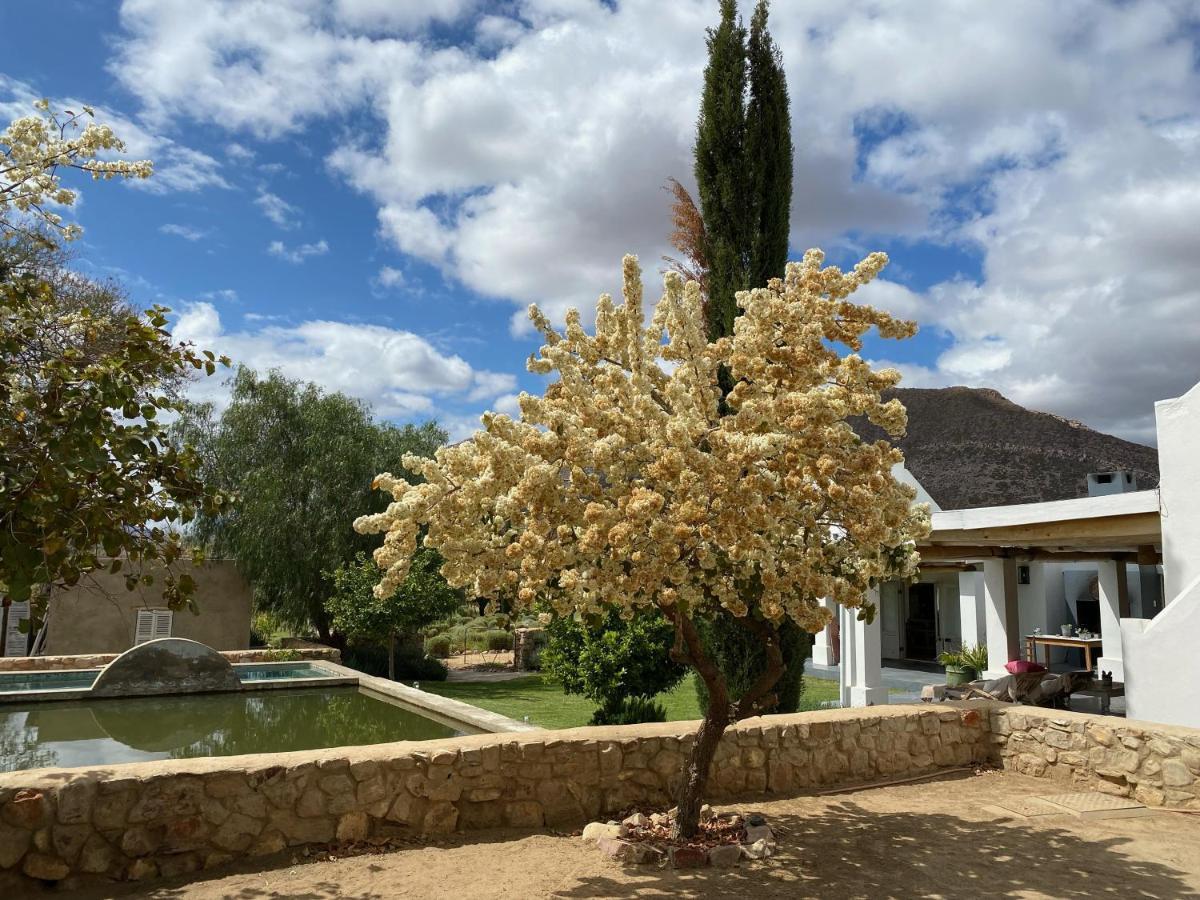 The Olive House, Prince Albert Esterno foto